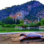 Sirius Dalyan