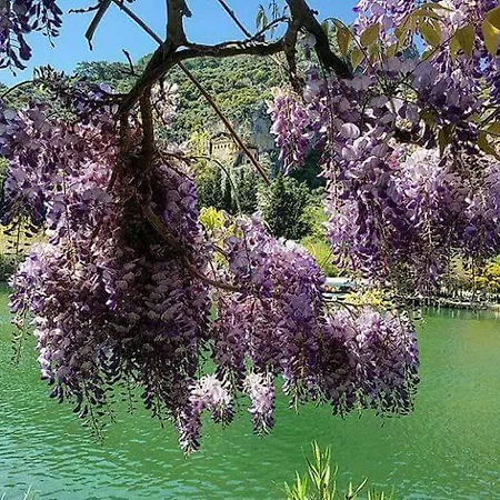 Sirius Pensjonat Dalyan