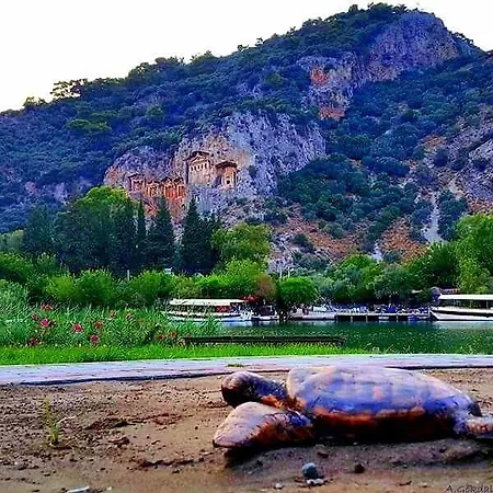 Sirius Dalyan